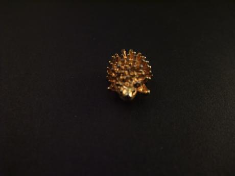 Egel ( zoogdier ) Insecteneter goudkleurige
